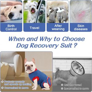 Dog Surgery Recovery Suits - Image 4