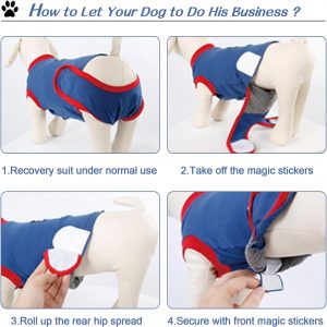 Dog Surgery Recovery Suits - Image 3