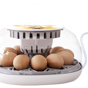 Egg Incubator, 12 Eggs Incubator