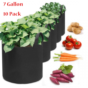 Garden Plant Grow Bags 10 Pack 1,2,10Gallon - Image 7