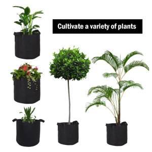 Garden Plant Grow Bags 10 Pack 1,2,10Gallon - Image 5