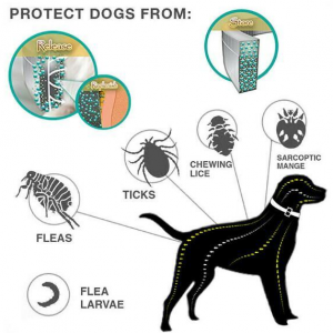 Flea Collar for Dogs Flea and Tick Collar for Dogs 25 Inch - Image 5