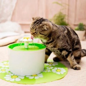 Cat Water Fountain Dog Water Dispenser - Image 10