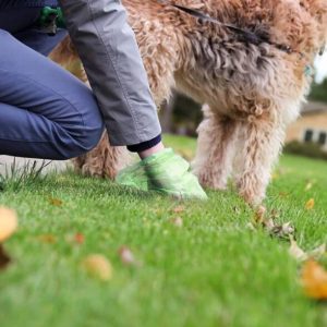 Dog Poo Bags 120pcs - Image 4