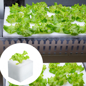 Hydroponic Sponge Planting Gardening Tool Square Seedling Sponges 100PCS - Image 5