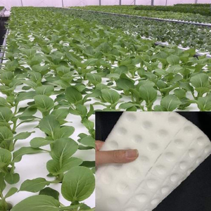 Hydroponic Sponge Planting Gardening Tool Square Seedling Sponges 100PCS - Image 7