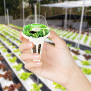 Grow Domes Plant Pod Grow Domes Cap for Grow Basket Plant Growing 50PCS - Image 5