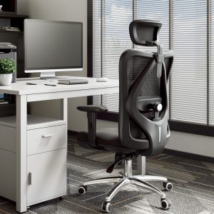 SIHOO Ergonomic Office Chair, M18 Ergonomic Chair