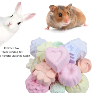Teething Toy 5pcs Chinchilla Rock Chew For Rats Guinea Pigs Rabbits Bunny Ferrets Squirrels Chinchilla Toys - Image 2