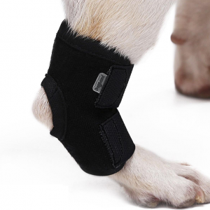Dog Rear Hock Joint Brace Compression Wrap