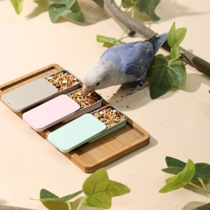 Bird Training Food Jar with Lid Parrot Handheld Feeder 3PCS - Image 4