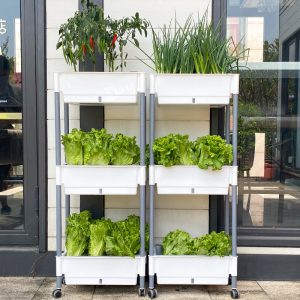 Self Watering Raised Garden Bed Outdoor Planter - Image 2