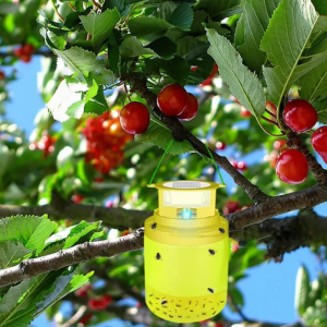 Fly Traps Outdoor Bug Catcher - Image 5