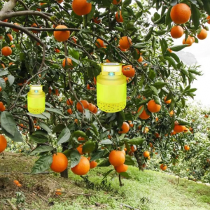 Fly Traps Outdoor Bug Catcher - Image 7