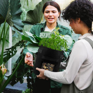 Potato Grow Bag 10 Packs - Image 8