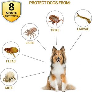 Dog Flea Collar Flea and Tick Collar for Dogs 62cm - Image 3