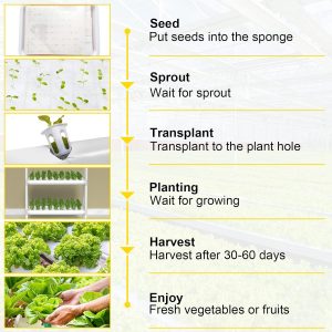 Hydroponic Grow Kit Grow System 36 Sites - Image 3