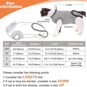 Cat Surgery Recovery Suit, Cat Surgery Recovery Suit - Image 2