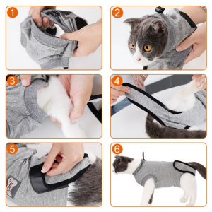 Cat Surgery Recovery Suit, Cat Surgery Recovery Suit - Image 3
