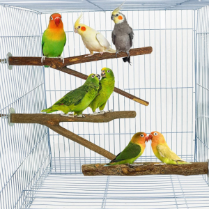Bird Parrot Perches for Cage 5PCS - Image 4