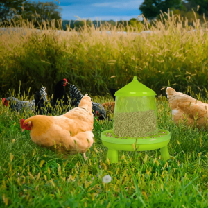 3 pcs Poultry Chicken Feeder 4kg - Image 3