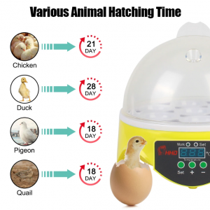 7 Egg Incubator - Image 3