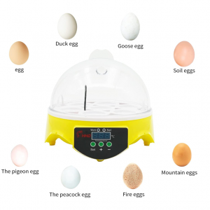 7 Egg Incubator - Image 7