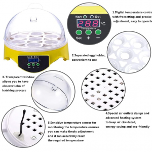 7 Egg Incubator - Image 6