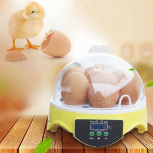 7 Egg Incubator - Image 8