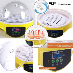 7 Egg Incubator - Image 4