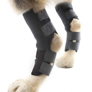 Dog Leg Braces,Dog Rear Leg Braces - Image 1