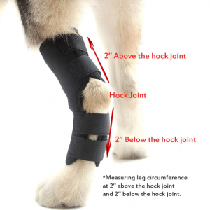 Dog Leg Braces,Dog Rear Leg Braces - Image 4