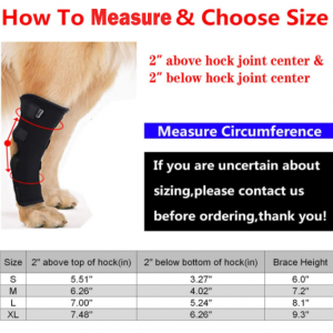 Dog Leg Braces,Dog Rear Leg Braces - Image 2