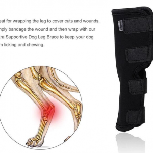 Dog Leg Braces,Dog Rear Leg Braces - Image 3
