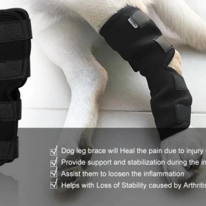 Dog Leg Braces,Dog Rear Leg Braces - Image 5