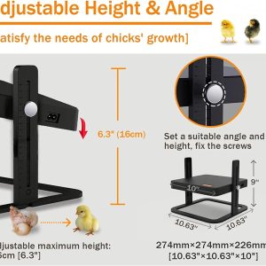 Chick Brooder Heater, Poultry Brooder Heating Plate,Adjustable Temp & Height for 15-20 Chicks - Image 3
