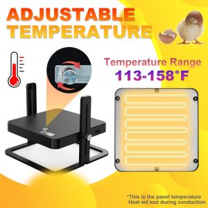 Chick Brooder Heater, Poultry Brooder Heating Plate,Adjustable Temp & Height for 15-20 Chicks - Image 5
