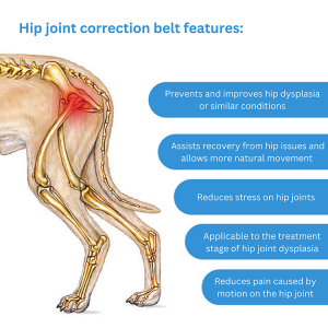 Dog Hip Correction Belt for Recovery and Joint Support - Image 3