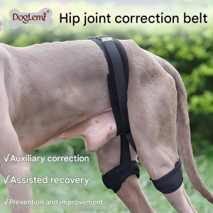 Dog Hip Correction Belt for Recovery and Joint Support - Image 6