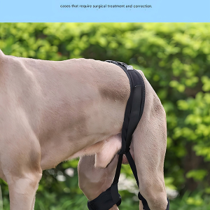 Dog Hip Correction Belt for Recovery and Joint Support - Image 7