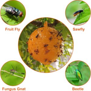 Flying Insects Traps Ball for Indoor Outdoor 6PK - Image 3