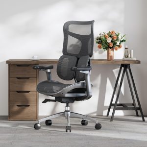 SIHOO S100 Ergonomic Office Chair - Image 1