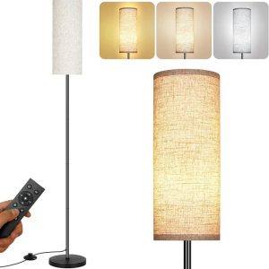Floor Lamp for Living Room, Modern Standing lamp with Remote Control