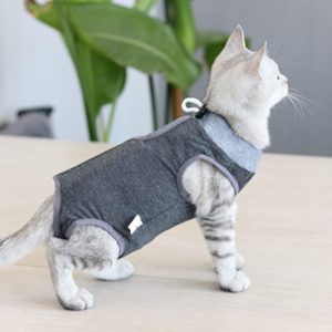 Cat Surgery Recovery Suit - Image 3