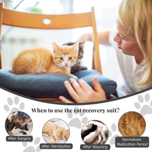 Cat Surgery Recovery Suit - Image 5